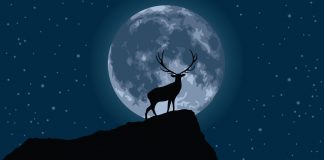 ۲۳ جولای تماشای Full Buck Moon را فراموش نکنید