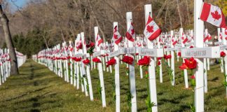 برگزاری ۷ رویداد در کلگری به مناسبت Remembrance Day