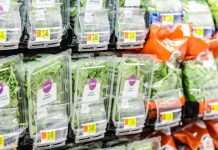 جمعآوری سالادهای آلوده از فروشگاههای سرتاسر کشور