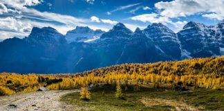 بهترین مسیرهای پیادهروی کانادا؛ Sentinel Pass via Larch Valley Trail