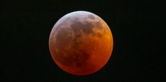 تماشای Blood Flower Moon در کانادا