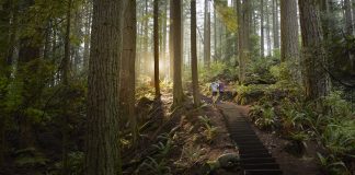 پیمایش Crouse Grind محبوبترین مسیر کوهپیمای ونکوور