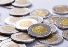 مراقب سکههای تقلبی ۲دلاری باشید