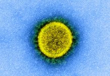 آیا شدت بیماری کووید-۱۹ با هر بار ابتلا کاهش مییابد؟