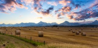 پیشبینی آبوهوای آگست برای آلبرتا