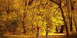 مسیر دوچرخهسواری پاییزی کانادا در میان بهترینهای دنیا