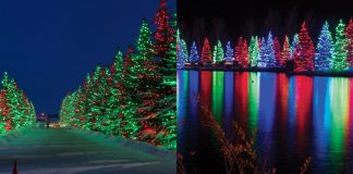 بازگشایی Spruce Meadows در کلگری