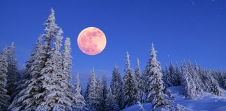 Cold Moon و مریخگرفتگی امشب را از دست ندهید