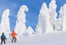 آیا تا به حال اشباح برفی را دیدهاید؟