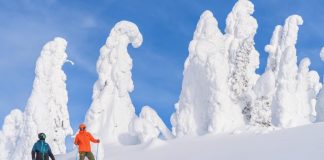 آیا تا به حال اشباح برفی را دیدهاید؟