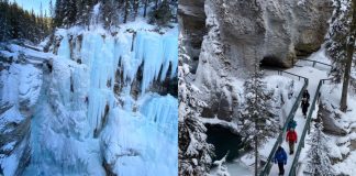 بازگشایی بخشی از مسیر Johnston Canyon پارک ملی بنف