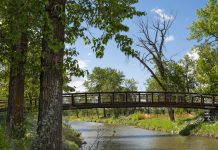 بهترین مسیرها برای پیادهروی بهاری در کلگری