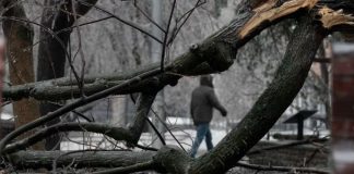 طوفان یخی در کبک و قطع گسترده برق