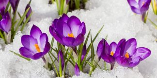 پیشبینی آبوهوای کانادا در ماه اپریل