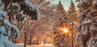 پیشبینی بارش برف در آلبرتا