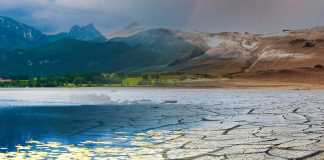 ثبت بالاترین میانگین دمای جهان در سال ۲۰۲۳