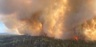 آتشسوزی جنگلی ۲۰ خانه و یک ایستگاه پلیس را ویران کرد