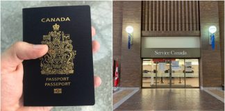 از سرگیری فعالیت Service Canada پس از اعتصابات