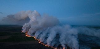 ورود موج گرما و خروج اجباری آتشنشان در بریتیش کلمبیا