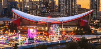 با بلیت کلگری استمپید چه کارهایی میتوانیم انجام دهیم