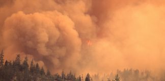 آلودگی ناشی از آتشسوزیها و افزایش مرگومیر