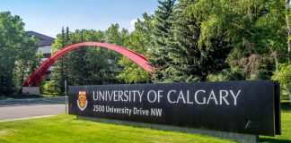 دانشگاه کلگری در میان برترین دانشگاههای جهان