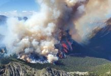 تاکنون ده میلیون هکتار از اراضی کانادا در آتش سوخته است