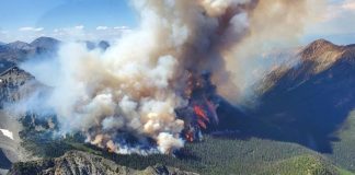 تاکنون ده میلیون هکتار از اراضی کانادا در آتش سوخته است