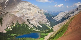 بسته شدن دریاچه کوهستانی آلبرتا پس از مواجهه کوهنورد با خرس