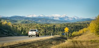 مهاجران 55 درصد رشد جمعیت آلبرتا تا 2051 را تشکیل میدهند