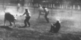 ویدیویی از اولین روزهای برگزاری کلگری استمپید