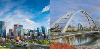 پیشبینی پراکندگی جمعیت آلبرتا تا سال 2051