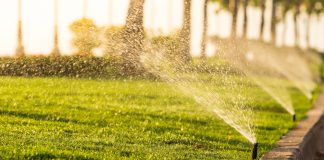 70 هزار دلار جریمه برای شهروندان ونکوور بخاطر آبیاری غیراصولی فضای سبز