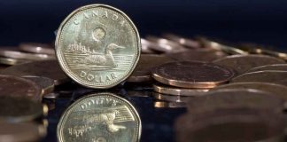 توصیههای مالی مهم برای افراد تازهوارد به کانادا