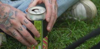 آزاد شدن مصرف مشروبات الکلی در 27 پارک تورنتو