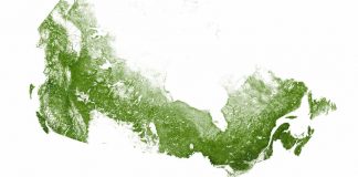 کانادا و کاشت ۲ میلیارد درخت طی ۱۰ سال آینده