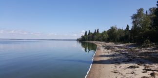 مشاهده باکتریهای مدفوع در یکی از ساحلهای محبوب آلبرتا