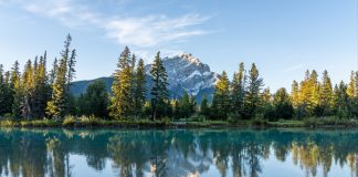 کشف جسد کوهنورد مفقود شده در کوهی خارج از بنف