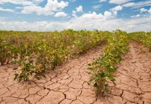 نگرانی کاناداییها درباره تاثیر تغییرات اقلیمی بر امنیت غذایی