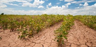 نگرانی کاناداییها درباره تاثیر تغییرات اقلیمی بر امنیت غذایی