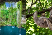 شرکت در تورهای All-Inclusive ویژه تعطیلات پاییزی از کلگری