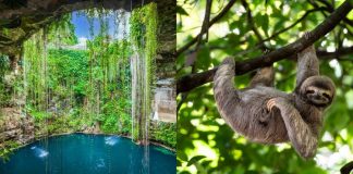 شرکت در تورهای All-Inclusive ویژه تعطیلات پاییزی از کلگری