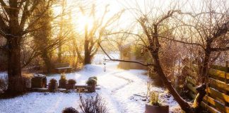 چگونه باغ و باغچه خود را برای زمستان آماده کنیم