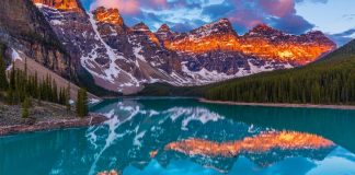 حمله خرس در پارک ملی بنف دو کشته در پی داشت