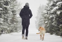 بهترین مسیرهای پیادهروی زمستانی در کانادا