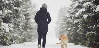 بهترین مسیرهای پیادهروی زمستانی در کانادا