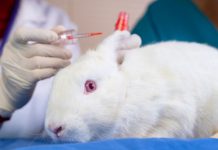 ممنوعیت آزمایش محصولات آرایشی و زیبایی بر روی حیوانات