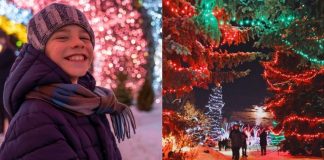 زیباترین نورپردازیهای کریسمسی در کلگری