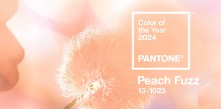 پنتون رنگ سال 2024 را معرفی کرد