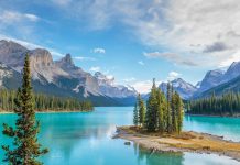 سازمان پارکهای کانادا دانشجو استخدام میکند